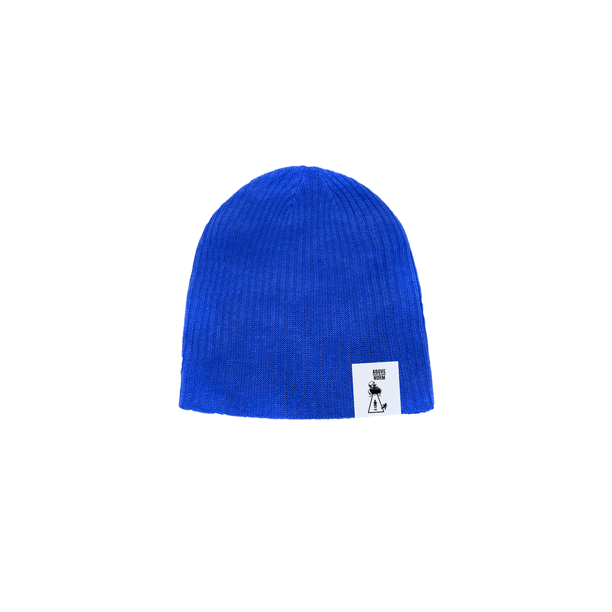 Basic Logo Beanie [Blue]