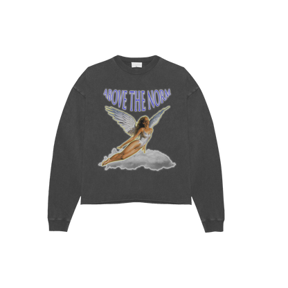 Sent From Above L/S [Charcoal Grey]