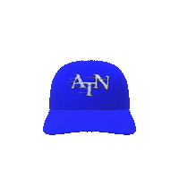Badge Logo Dad Hat